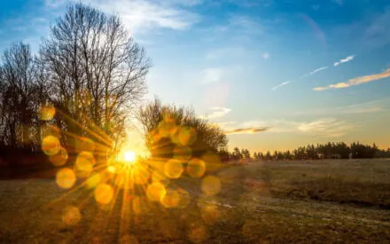 Dio è luce. Camminiamo nella luce